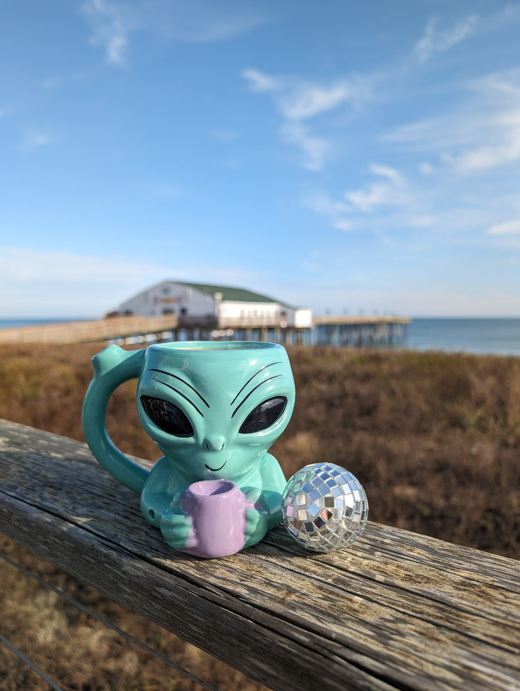 Coffee and a Joint Alien Mug